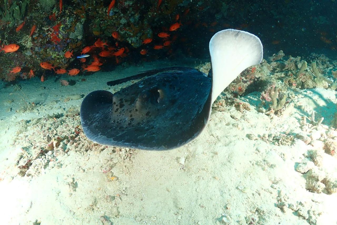 Coco Villa,Ukulhas 外观 照片