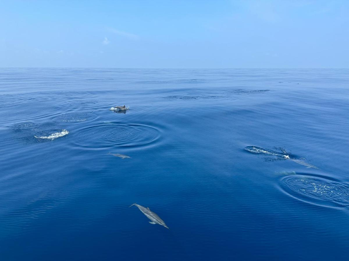 Coco Villa,Ukulhas 外观 照片